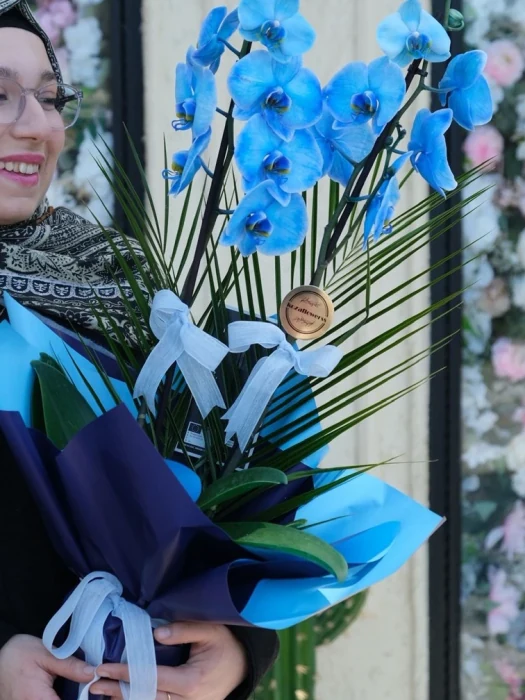 Blue Premium Orkide